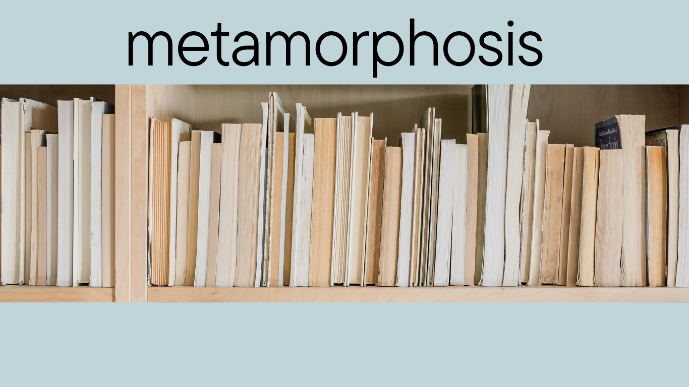 metamorphosis magazine banner